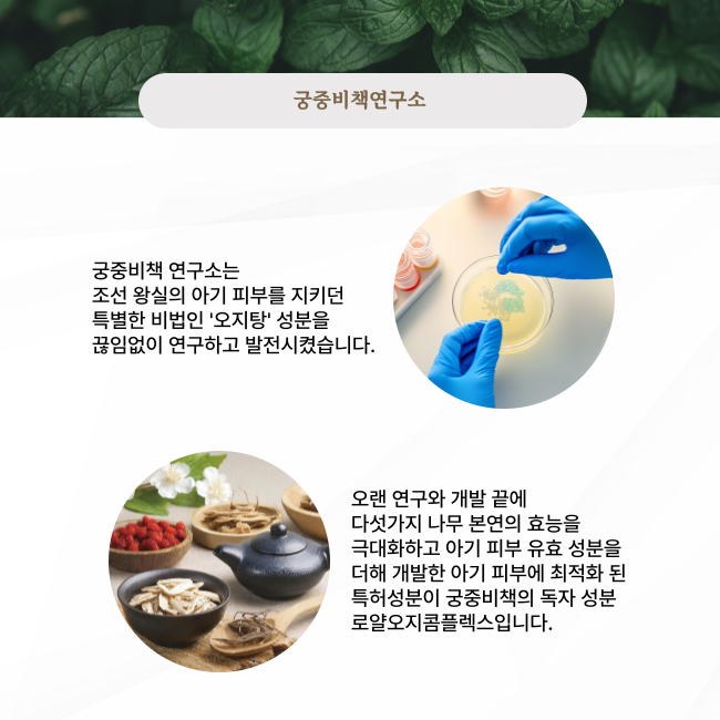 궁중비책 프리뮨 모이스처 로션 250ml