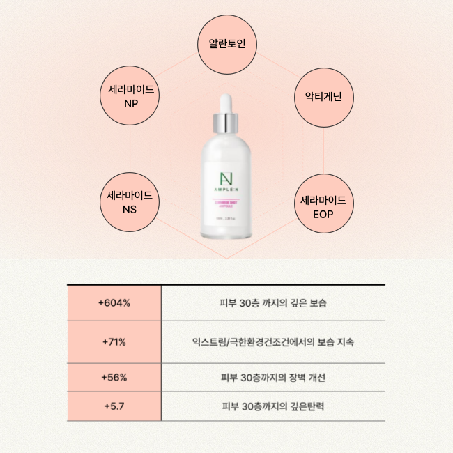 AMPLEN 세라마이드샷 앰플 100ml