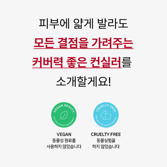 N2U 디디 컨실러