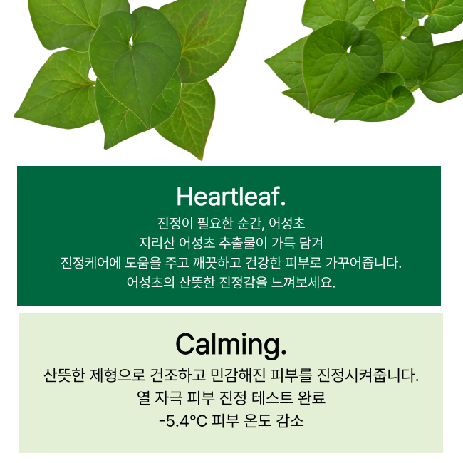 Abib 어성초 스팟패드 카밍터치 80매