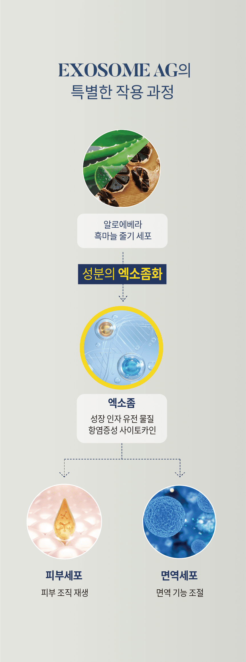 [韩国/国内] Exosome recell溶液（抗皱）